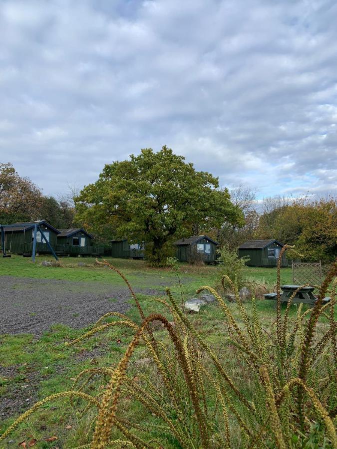 Nexo Camping & Cabins Exterior foto