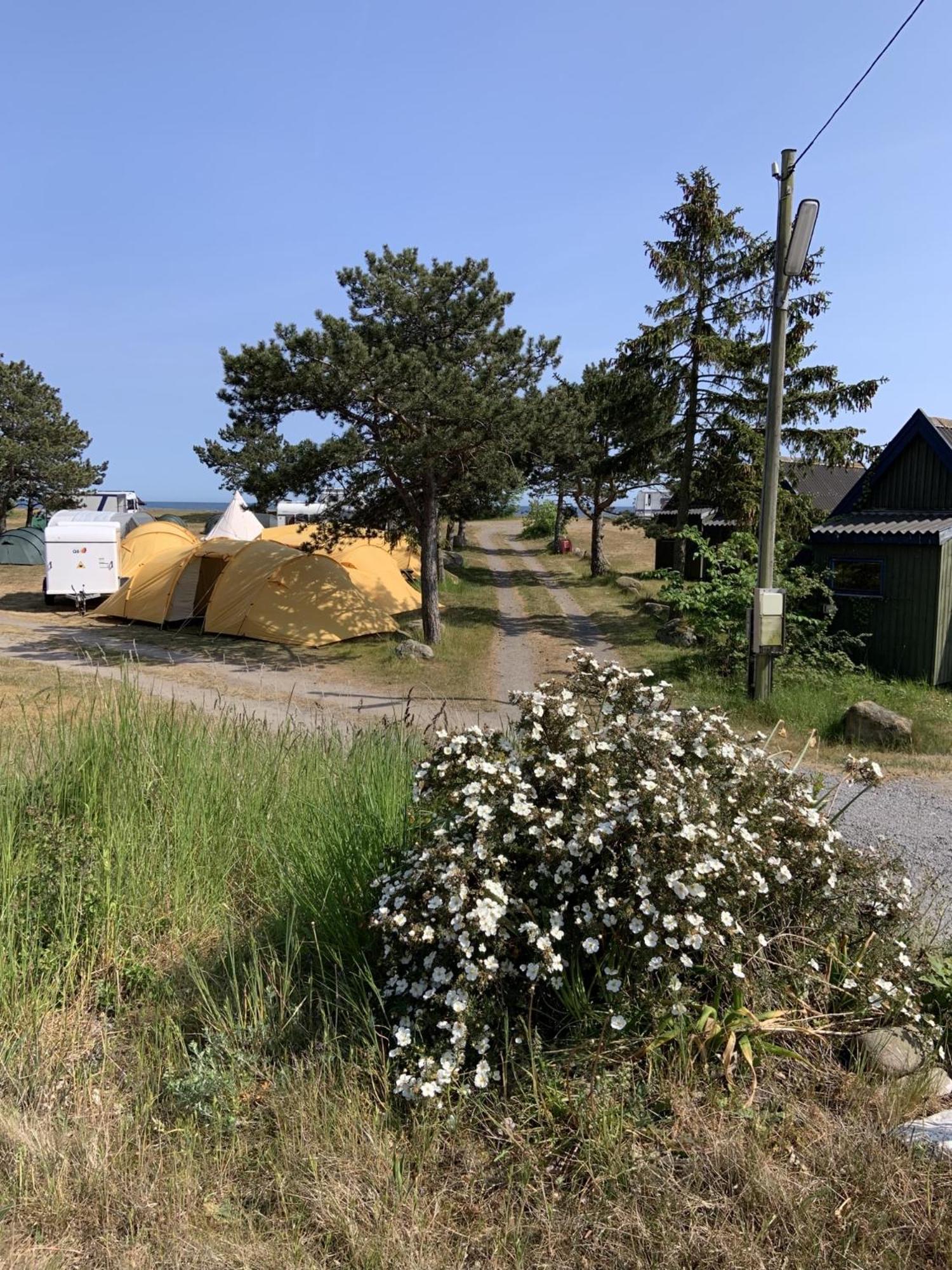 Nexo Camping & Cabins Exterior foto
